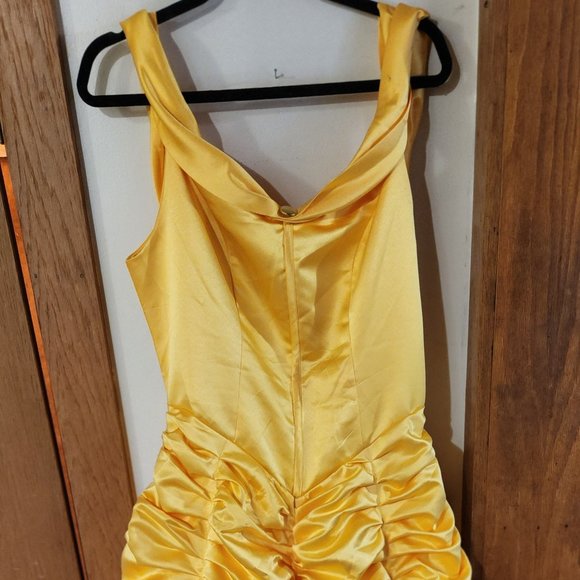 Beauty and the Beast formal gown - Picture 1 of 5